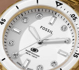 Fossil Blue Dive Three Hand White Dial Gold Steel Strap Watch For Women - ES5350 Authentic Buy Shop Now