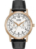 Citizen Watch Eco Drive Day & Date White Dial Black Leather Strap Watch For Men - AO9003-16A Authentic Buy Shop Now