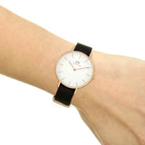 Daniel Wellington Classic Petite Cornwall White Dial Green NATO Strap Watch For Women - DW00100253 Authentic Buy Shop Now