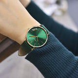 Coach Green Dial Green Leather Strap Watch for Women - 14503383 Authentic Buy Shop Now