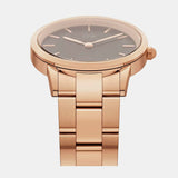 Daniel Wellington Iconic Link Black Dial Rose Gold Steel Strap Watch for Women - DW00100210 Authentic Buy Shop Now