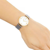 Emporio Armani Gianni T Bar Mother of Pearl Dial Silver Mesh Bracelet Watch For Women - AR2068 Authentic Buy Shop Now