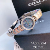 Coach Park Mother of Pearl Blue Dial Silver Steel Strap Watch for Women - 14503224 Authentic Buy Shop Now