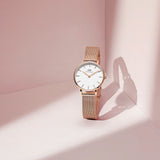 Daniel Wellington Classic Petite White Dial Rose Gold Mesh Bracelet Watch For Women - DW00100219 Authentic Buy Shop Now