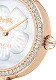 Coach Park Mother of Pearl Dial Rose Gold Mesh Bracelet Watch for Women - 14503511 Authentic Buy Shop Now