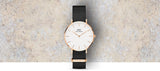 Daniel Wellington Classic Petite Cornwall White Dial Green NATO Strap Watch For Women - DW00100253 Authentic Buy Shop Now