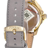 Fossil Cecile Champagne Dial Grey Leather Strap Watch for Women - AM4529 Authentic Buy Shop Now