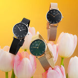 Daniel Wellington Petite Emerald Green Dial Gold Mesh Strap Watch For Women - DW00100480 Authentic Buy Shop Now