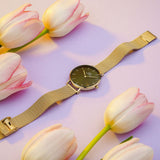 Daniel Wellington Petite Emerald Green Dial Gold Mesh Strap Watch For Women - DW00100480 Authentic Buy Shop Now