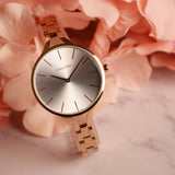 Calvin Klein Graphic Silver Dial Rose Gold Steel Strap Watch for Women - K7E23646 Authentic Buy Shop Now