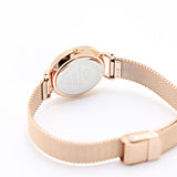 Daniel Wellington Petite Amber Brown Dial Gold Mesh Strap Watch For Women - DW00100476 Authentic Buy Shop Now
