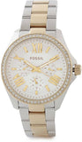 Fossil Cecile White Dial Two Tone Steel Strap Watch for Women - AM4543 Authentic Buy Shop Now