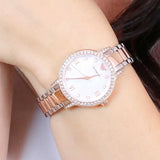 Emporio Armani Cleo Mother of Pearl Dial Two Tone Steel Strap Watch For Women - AR11499 Authentic Buy Shop Now