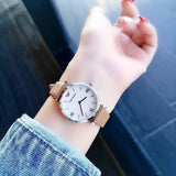 Emporio Armani Gianni T-Bar White Dial Brown Leather Strap Watch for Women - AR1988 Authentic Buy Shop Now