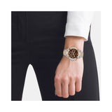Hugo Boss Novia Brown Dial Two Tone Steel Strap Watch for Women - 1502617 Authentic Buy Shop Now