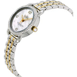 Coach Delancey Mother of Pearl White Dial Two Tone Steel Strap Watch for Women - 14502480 Authentic Buy Shop Now