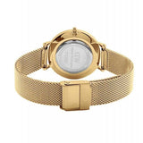 Daniel Wellington Classic Petite Evergold Black Dial Gold Mesh Bracelet Watch For Women - DW00100349 Authentic Buy Shop Now