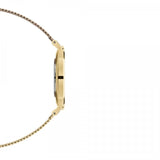 Daniel Wellington Classic Petite White Dial Gold Mesh Bracelet Watch For Women - DW00100348 Authentic Buy Shop Now