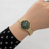 Daniel Wellington Petite Emerald Green Dial Gold Mesh Strap Watch For Women - DW00100479 Authentic Buy Shop Now