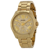 Fossil Cecile Multifunction Champagne Dial Gold Steel Strap Watch for Women - AM4510 Authentic Buy Shop Now