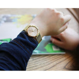 Calvin Klein Minimal Silver Dial Gold Mesh Bracelet Watch for Women - K3M22526 Authentic Buy Shop Now