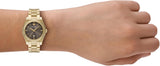Emporio Armani Federica Brown Dial Gold Steel Strap Watch for Women - AR11700 Authentic Buy Shop Now