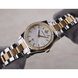 Emporio Armani Federica Mother of Pearl Dial Two Tone Steel Strap Watch for Women - AR11559 Authentic Buy Shop Now
