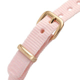 Daniel Wellington Petite Mother of Pearl Pink Dial Pink Nylon Strap Watch For Women - DW00100512 Authentic Buy Shop Now