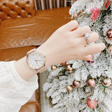 Michael Kors Layton Mother of Pearl White Dial Brown Leather Strap Watch For Women - MK2910 Authentic Buy Shop Now
