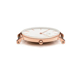 Daniel Wellington Classic Petite Cornwall White Dial Green NATO Strap Watch For Women - DW00100253 Authentic Buy Shop Now