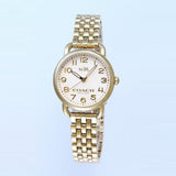 Coach Delancey White Dial Gold Steel Strap Watch for Women - 14502241 Authentic Buy Shop Now