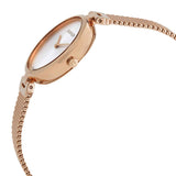 Calvin Klein Authentic Silver Dial Rose Gold Mesh Bracelet Watch for Women - K8G23626 Authentic Buy Shop Now