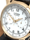 Citizen Watch Eco Drive Day & Date White Dial Black Leather Strap Watch For Men - AO9003-16A Authentic Buy Shop Now