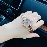 Tissot T Classic PR 100 Donna Rose Gold Lady Small Watch For Women - T101.010.33.451.00 Authentic Buy Shop Now